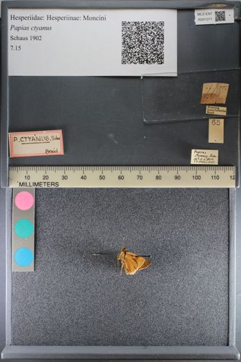 Media type: image;   Entomology 201211